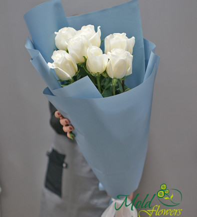 Buchet din 7 trandafiri albi premium olanda 80-90 cm (la comanda, 10 zile) foto 394x433